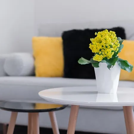 Rajska Apartament- * Γκντανσκ